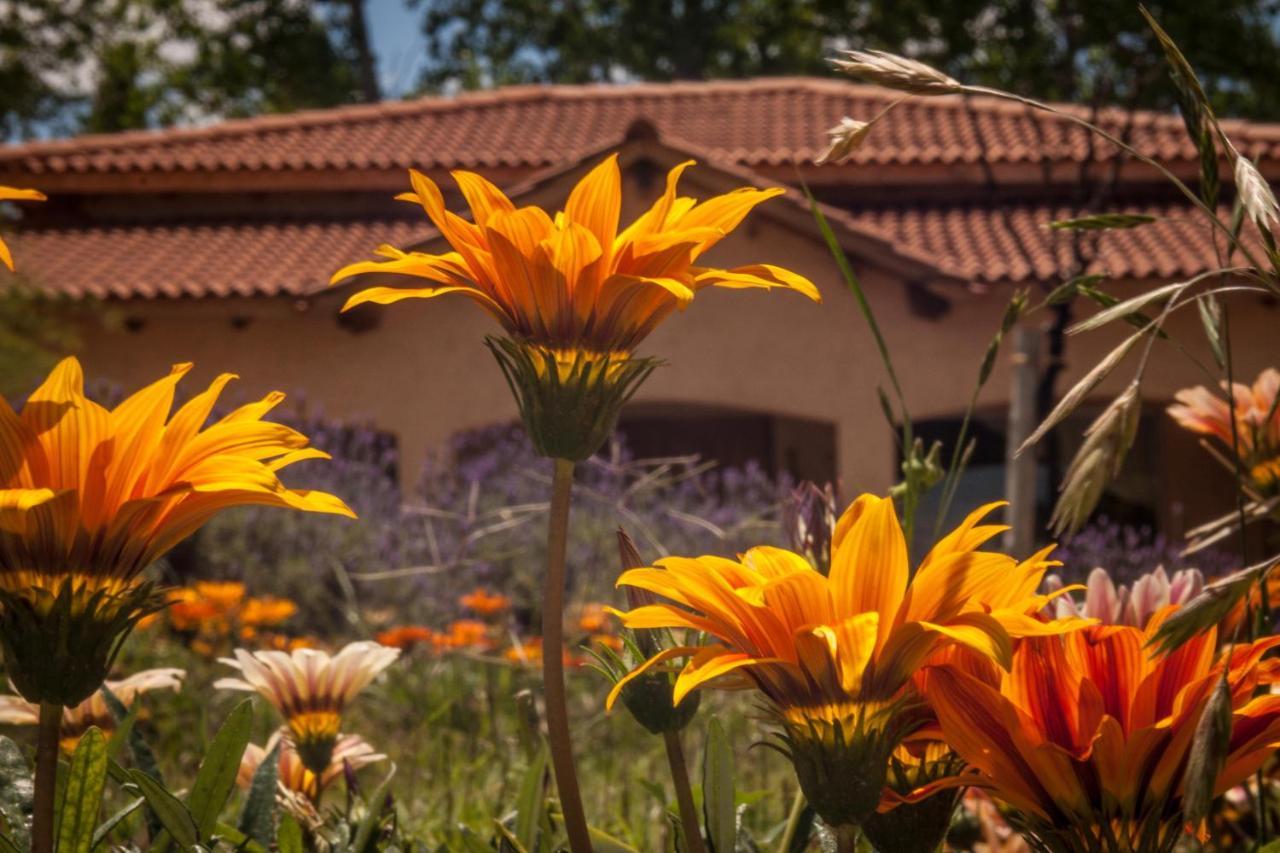Casona Aventurados Lujan de Cuyo Exterior foto
